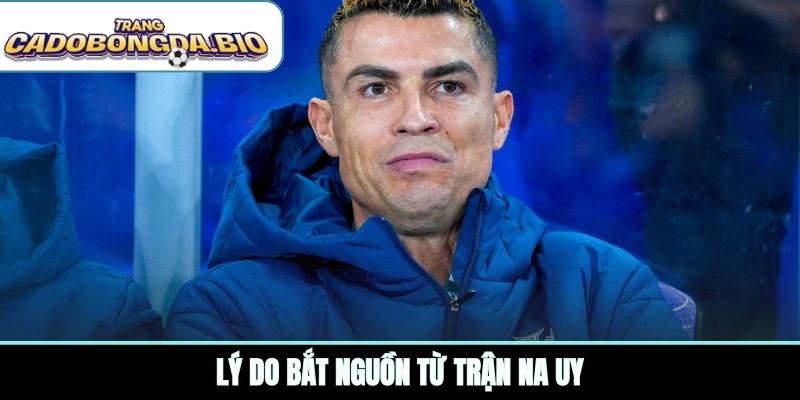 Lý do bắt nguồn từ trận Na Uy